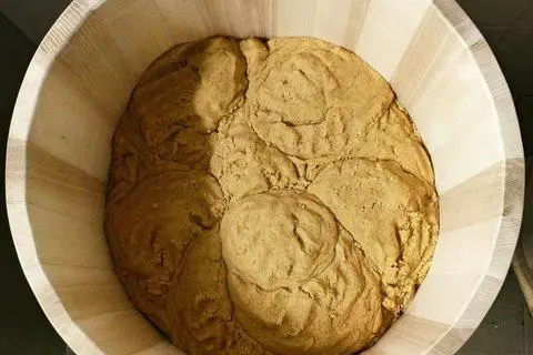 In Holzfässern wird das Miso gelagert. Foto: Mimi Ferments
