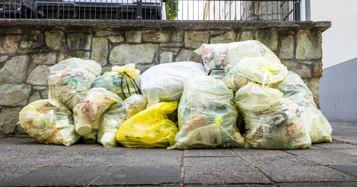 Tonne trotz Sack? Fragen und Antworten zum Mainzer Verpackungsmüll 