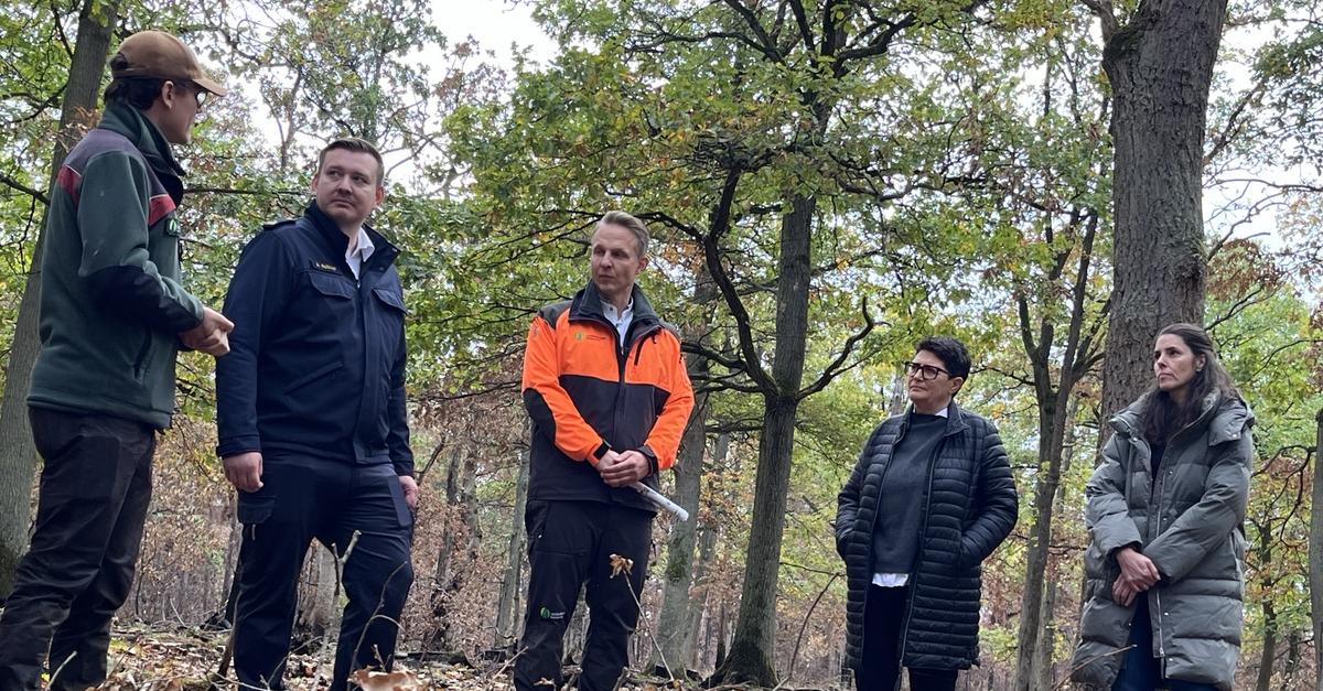 Nach dem Rotenfels-Brand: Im „Freiluftlabor“ des Waldes