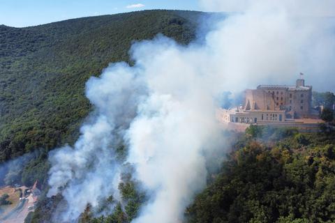 Rauch steigt aus einem Wald beim Hambacher Schloss auf, wo Anfang August ein größeres Stück Wald gebrannt hat.  Foto: Fynn Trenkner/dpa 