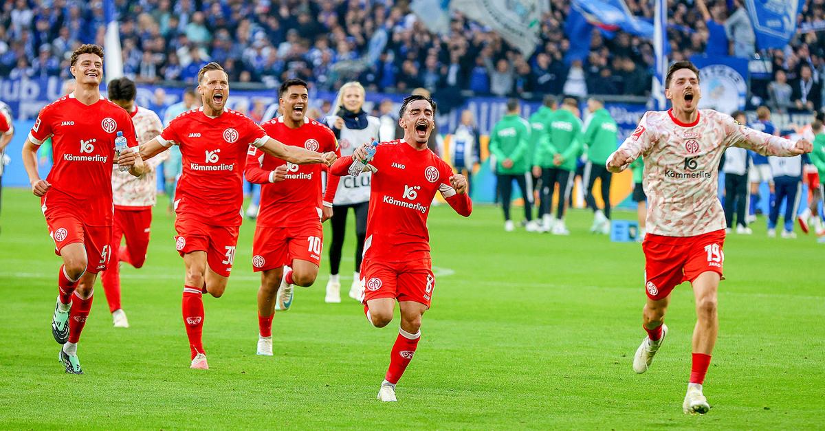 Mainz-05-Einzelkritik: Zwei Spitzennoten auf Schalke