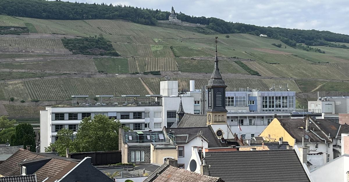 HGH Bingen: CDU parliamentary group calls on Gordon Schnieder to take ...