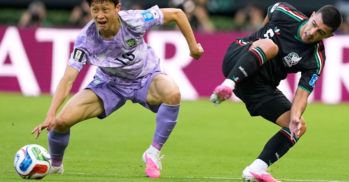 Mainz 05 ticker: World Cup bonus lower this time