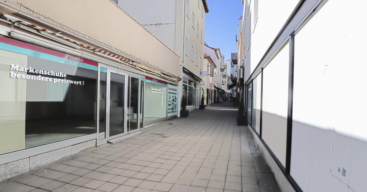 Alzey-Worms and Mainz-Bingen: Candidates in constituency 205 comment on ...