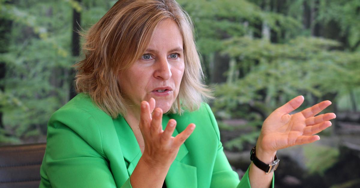 Katrin Eder soll Spitzenkandidatin der Grünen in Rheinland-Pfalz werden