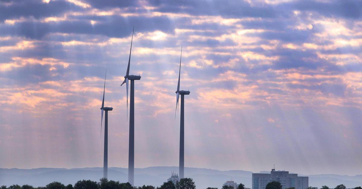 Klimaschutzgesetz RLP: Grüne erhöhen Druck auf Schwarz-Rot