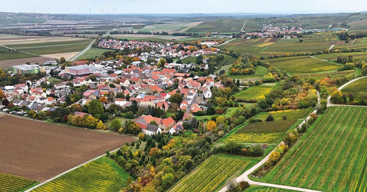 Frühere Bahnstrecke in Bornheim bringt bei Auktion in Berlin 84 ...