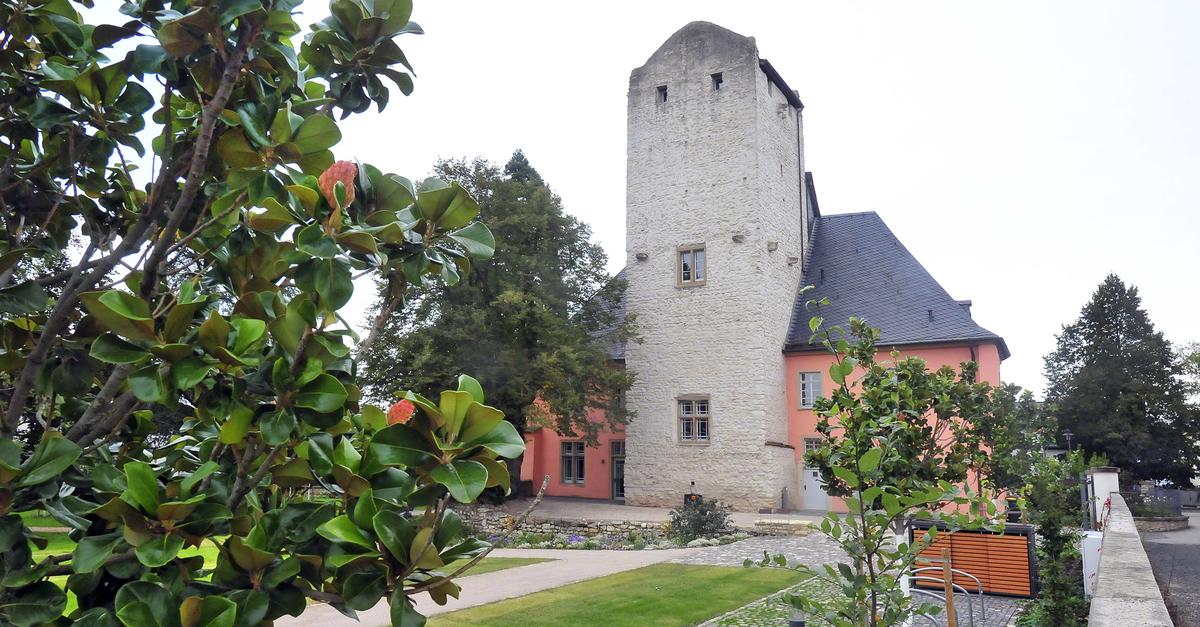 AfD-Veranstaltungen in Heidesheim: Stadtrat Ingelheim hat Fragen