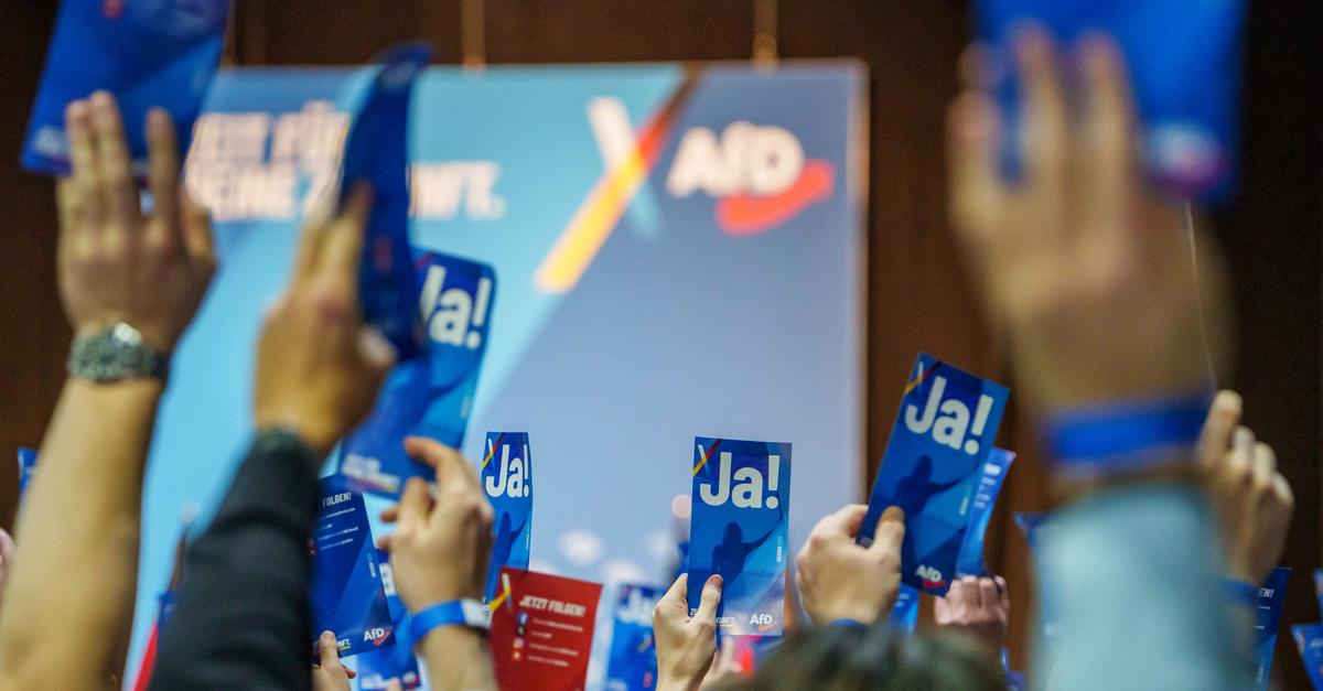 Generation Germany: AfD in Rhineland-Palatinate before founding the state ...