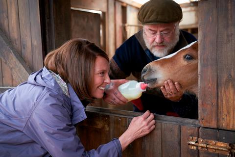 Janet (Toni Colette) und ihr Mann Brian (Owen Teale) setzen ihre Hoffnung in das Fohlen "Dream Alliance". Szene aus dem Film "Dream Horse". Foto: Weltkino 