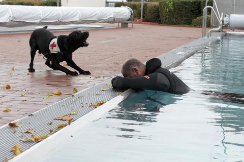 Als der Hund den von DRK-Mitglied Alexander Kuhn gespielten Verunglückten im Wasser entdeckt, bellt er so lange, bis sein Hundeführer kommt. Foto: BK/Axel Schmitz
