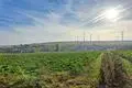 Ackerfläche zwischen dem Alzeyer Industriegebiet und dem Stadtteil Dautenheim: Hier ungefähr will die Vodafone-Tochter Vantage Towers einen Funkmast bauen.