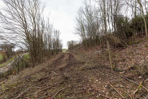 An der A63 bei Heimersheim wurden zahlreiche Bäume gefällt und eine breite Schneise ist entstanden.