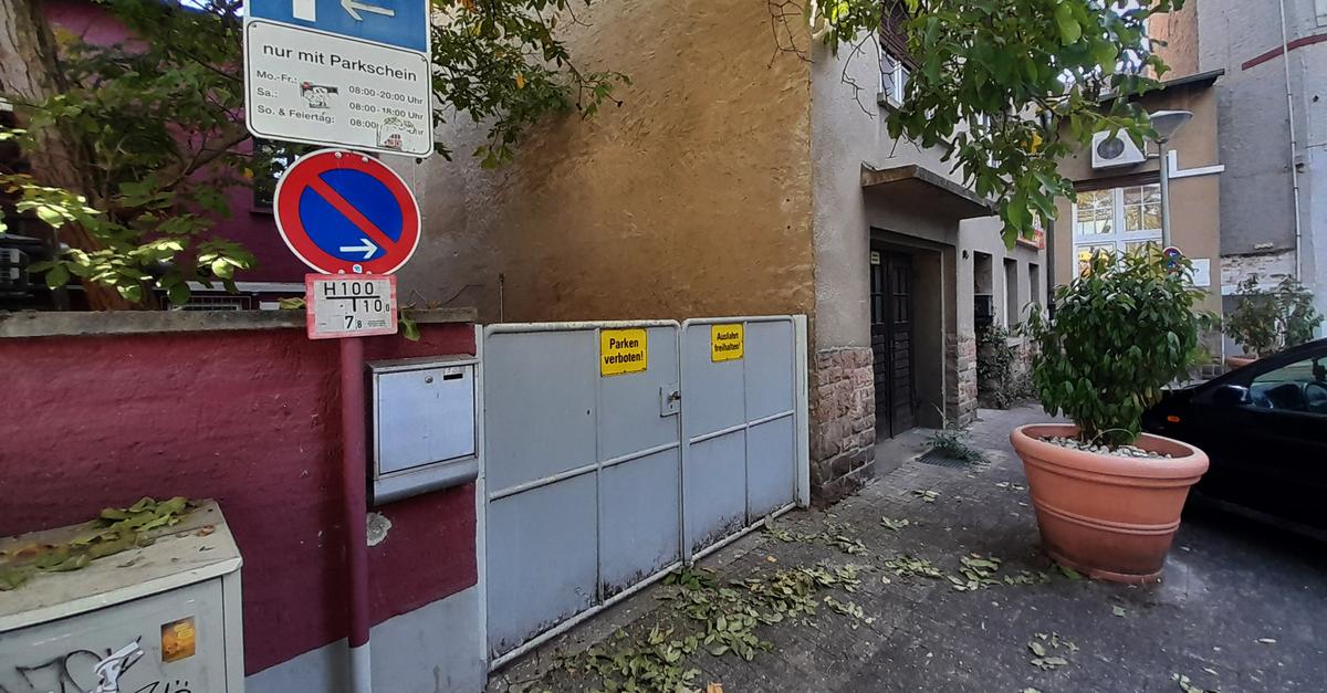 Rat infestation at Europaplatz and Neuruppiner Platz in Bad Kreuznach