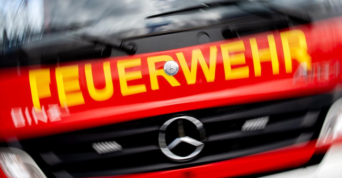 Mainz-Gonsenheim: Feuerwehr löscht kleineren Flächenbrand in 