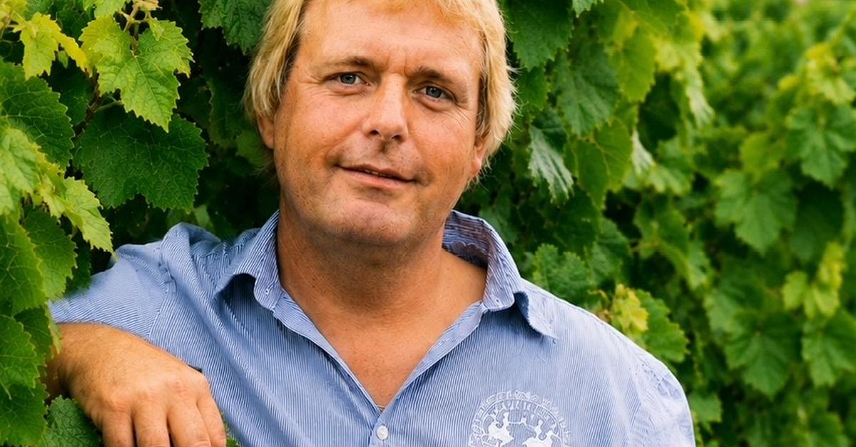 Tempranillo grape variety new in Rheinhessen at Bechtolsheim and Mölsheim ...
