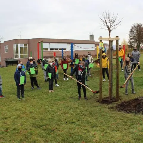 Alle fünften Klassen der Realschule plus Rheinhessische Schweiz Wöllstein bekommen einen Jahrgangsbaum, der erste wurde im Jahr 2021 gepflanzt (unser Foto). Die Schule schreibt es ihrem guten Profil zu, dass sie dieses Jahr deutlich mehr Anmeldungen erhalten hat.