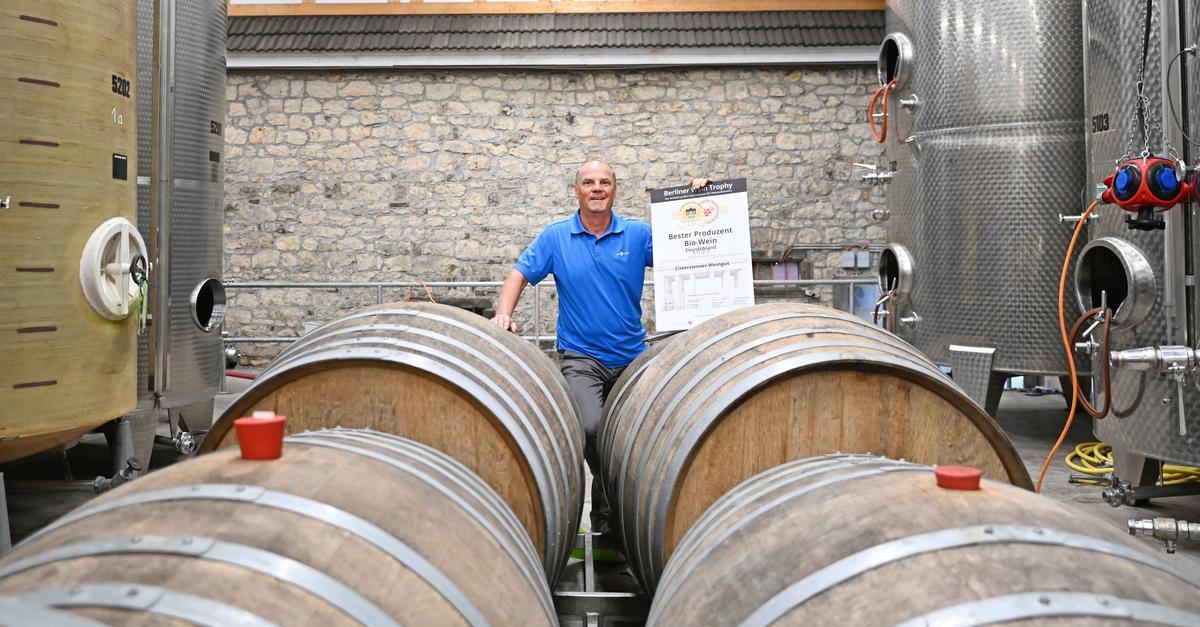Bestes Bio-Weingut Deutschlands: „Cisterzienser Weingut“ in ...