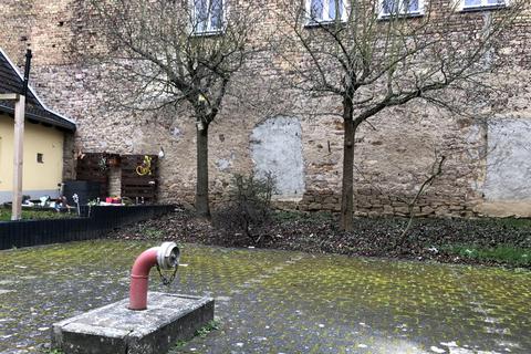 Die beiden Bäume vor dem Haus von Wolfgang Träger. Davor befindet sich unterirdisch der Löschwassertank.
