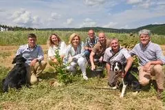 Trüffelbauexperte Dr. Ulrich Stobbe (v.li.), Landrätin Bettina Dickes, Bundesministerin Julia Klöckner, Ortsbürgermeister Ralf Noch, Bürgermeister Michael Cyfka, Ludger Sproll und Investor Dr. Job von Nell pflanzen eine junge Buche. Zwischen ihren Wurzeln sollen Trüffel wachsen.