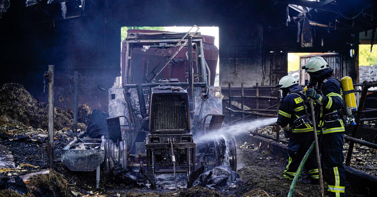 Brand auf Bauernhof: 42 Rinder tot – zehn Menschen verletzt