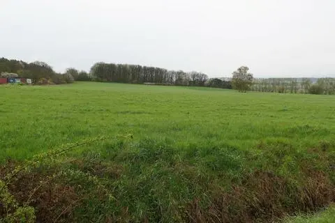Auf dieser Fläche soll demnächst der erste Freiflächen-Solarpark in Langgöns entstehen.