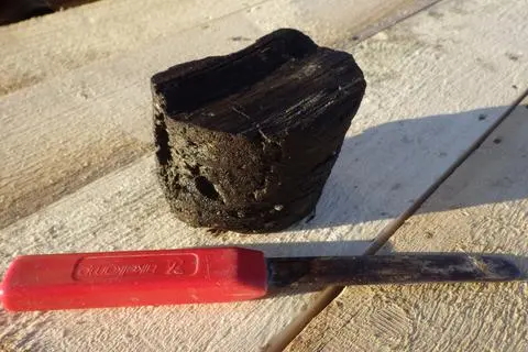 Aus 250 Meter Tiefe stammt ein drei Millionen Jahre altes Holzstück in Riedstadt .