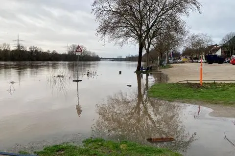 Der Main ist im Bereich des Konrad-Adenauer-Ufers in Flörsheim über die Ufer getreten. Der Uferweg ist gesperrt. Foto: Jens Etzelsberger 