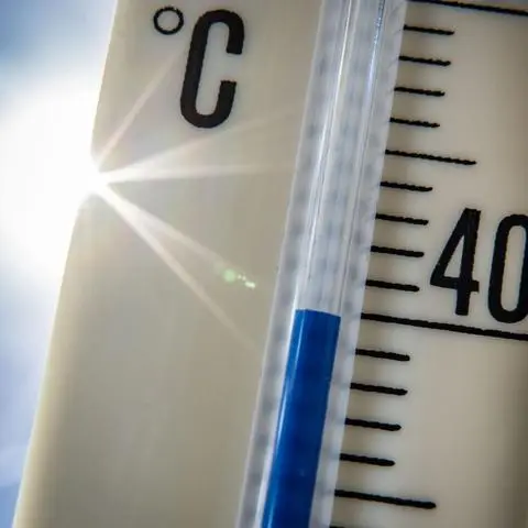 Der Klimawandel ist auch in Rüsselsheim zu spüren. Die Stadt bietet nun einen Workshop zum Thema Klimaanpassung an.