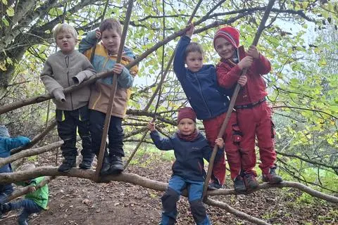 Auf den Bäumen herumzuklettern, gehört zu den Lieblingsbeschäftigungen der Heranwachsenden.
