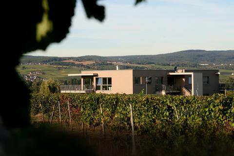 Das Weingut Dessoy mit seinen Ferienwohnungen inmitten der Kempter Weinberge. Fotos: Christine Tscherner