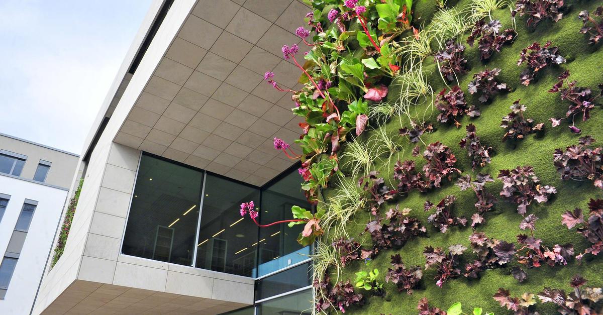 Nach Wasserschaden bleibt Mediathek in Ingelheim vorerst geschlossen