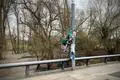 An der Fähre in Frei-Weinheim wurde ein Plakat der Grünen-Landratskandidatin Andrea Müller-Bohn zerstört. Es ist nicht das einzige.