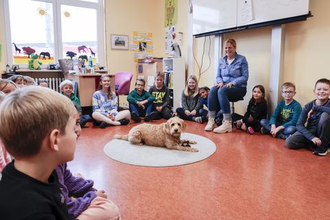 Schulhund "Ilvie" mit ihrer Klasse, der 4b der Grundschule in Bodenheim. Ilvie ist seit dem Jahr 2019 teil der Klasse von Lehrerin Angela Cruz.
