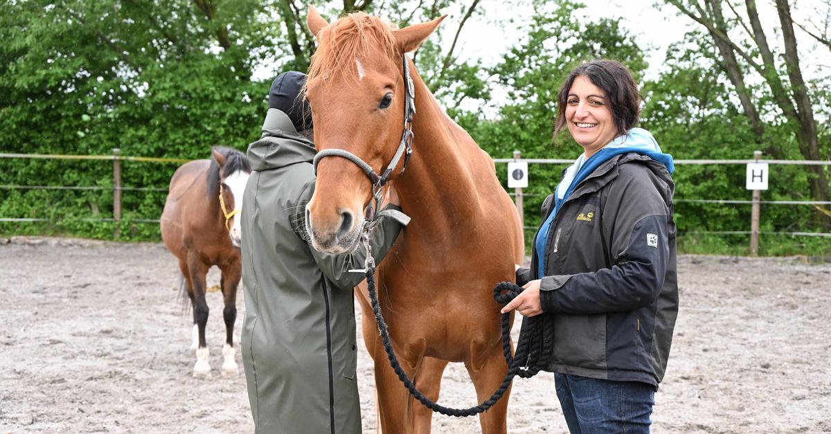 Training mit Pferden zur Trauerbewältigung in Lörzweiler