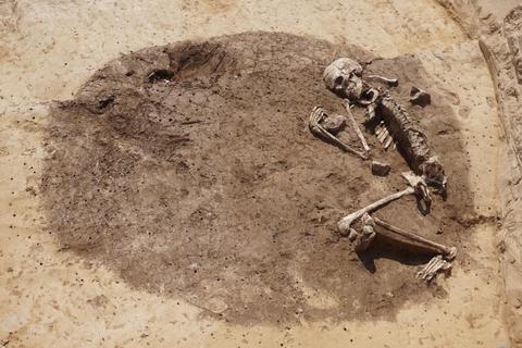 Skelett eines etwa 1,85 Meter großen erwachsenen Mannes in der Vorratsgrube. Foto: Archäologisches Landesamt Mainz
