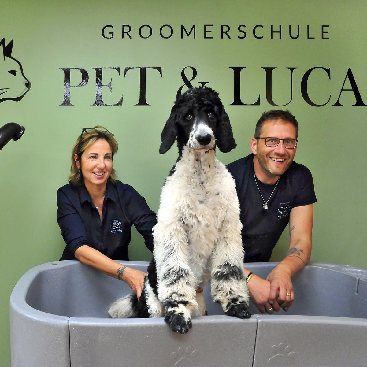 Neue Ausbildung für Hundefriseure startet in Sprendlingen