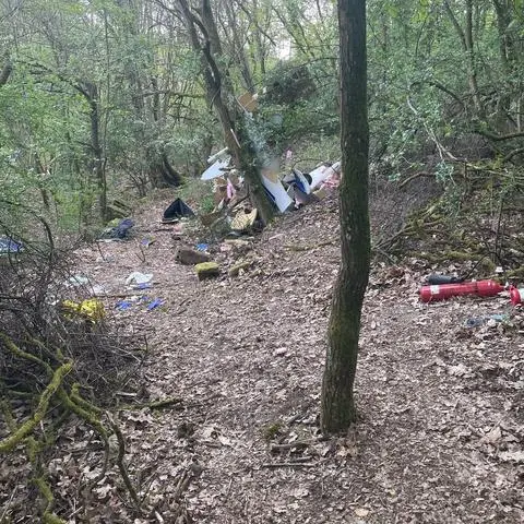 Die Reste des Flugzeugs im Wald bei Michelbach.