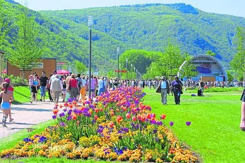 Wenn in Bingen und Bacharach die Blumen blühen