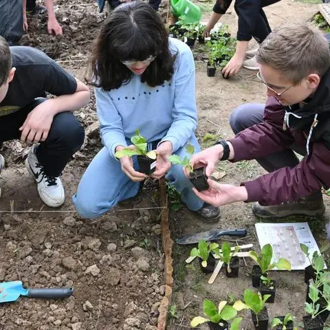 Die Schülerinnen und Schüler der Rüdesheimer Hildegardisschule pflanzen neben Kartoffeln auch zahlreiche Gemüsesorten an.