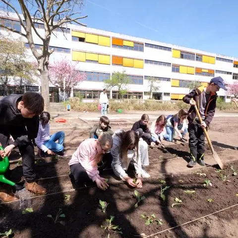 Graben, Pflanzen, Gießen – beim Projekt Ackerdemie lernen die Fünftklässler in Taunusstein wie man Gemüse anbaut.