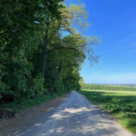 Dank einer wassergebundenen Deckschicht ist die Radverbindung zwischen der Siedlung Platte in Taunusstein und dem Wildpark Engenhahn jetzt besser befahrbar.