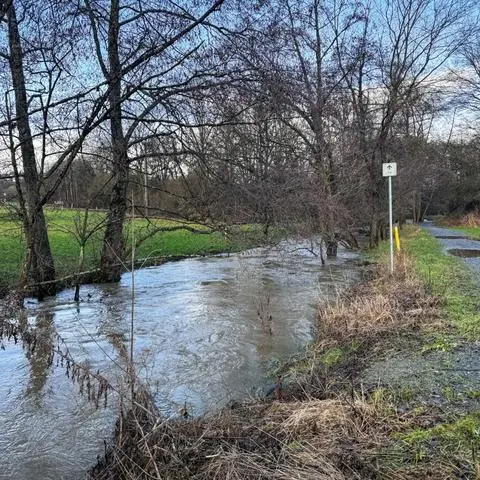 Der Solmsbach bei Bonbaden schwillt nach heftigen Regenfällen kräftig an.