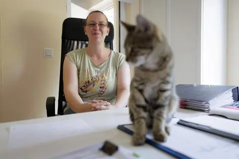 Weil die normalen Räume überfüllt sind, muss auch das Büro als Platz für ein Kätzchen im Dillenburger Tierheim herhalten.
