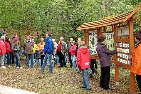 Archivbild: Staunen über die Einblicke in die Natur: Marko Dorndorf (Bildmitte) erläutert die einzelnen Stationen des Naturerlebnispfads, hier das Baumpuzzle an der Viehstandseiche.