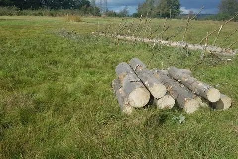 Das Grundstück auf dem Weidelbacher "Weitefeld" ist seit Jahren ein beliebter Treffpunkt. Für das obligatorische Lagerfeuer ist dort immer Brennholz gelagert.
