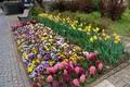 Die Stadt Herborn sucht weiterhin ehrenamtliche Grünflächenpaten, die zum Beispiel öffentliche Grünflächen mähen oder Unkraut und Müll aus Blumenbeeten entfernen.