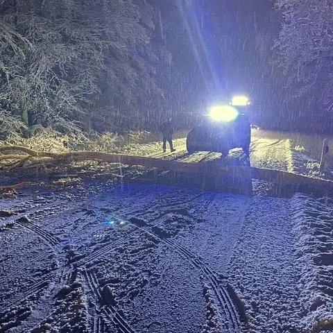 Weil zahlreiche Bäume aufgrund hoher Schneelast auf Straßen stürzten, waren Feuerwehren zwischen Montagnachmittag und Dienstagmorgen im Dauereinsatz.