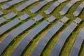Einen Solarpark wünscht man sich auch in der Stadt Leun. Doch wo er hinsoll, das ist bislang noch nicht geklärt. 