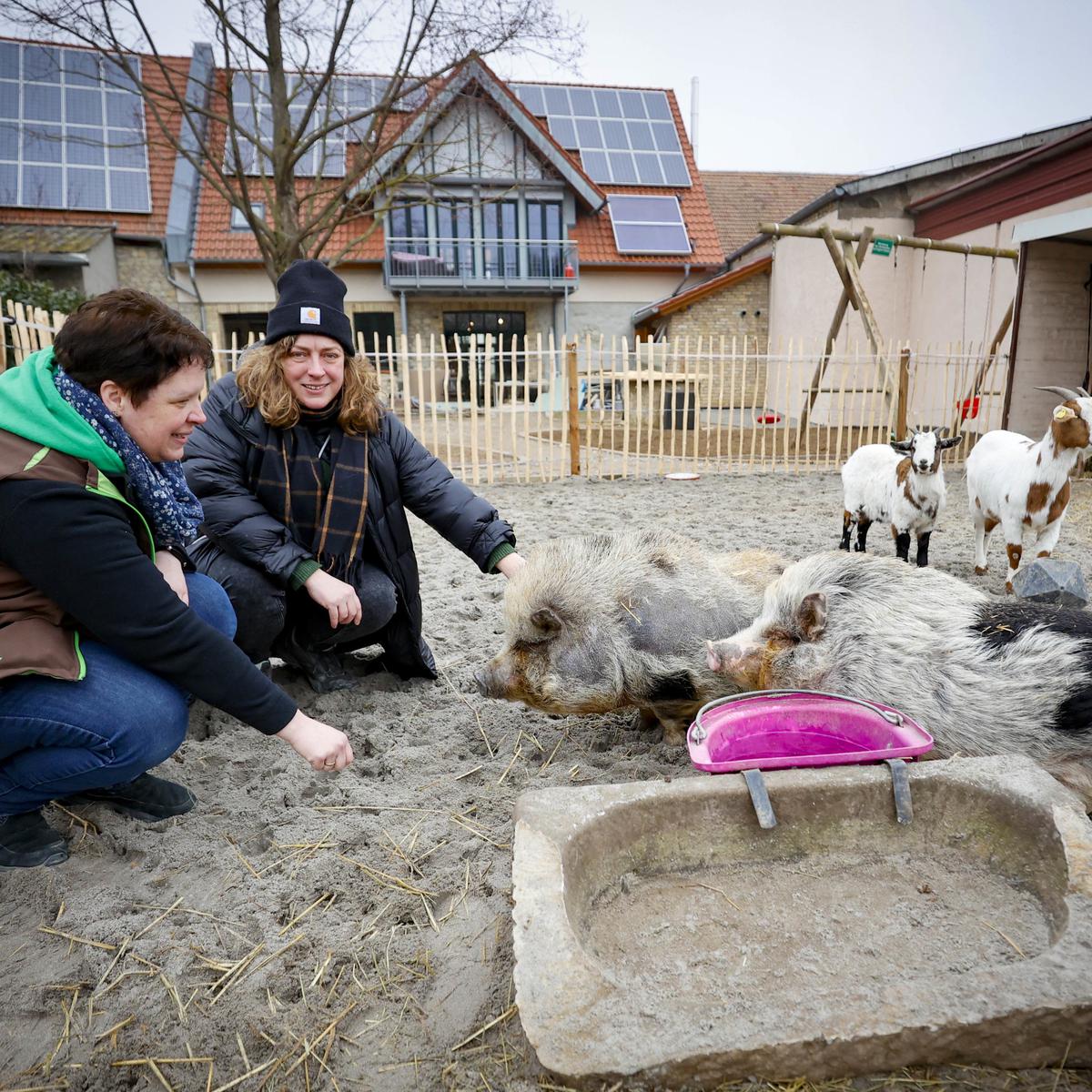 Finther Obstlädchen öffnet nach Umbau mit neuen Hofbewohnern